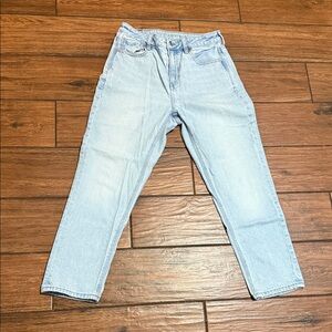 American Eagle Outfitters Light Blue Women's mom Jeans x- shorts